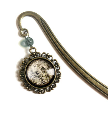 Human Brain and Nervous System Glass Cabochon Brass Book Hook / Bookmark