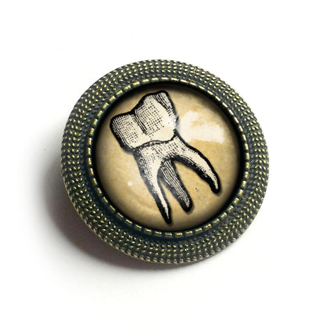 Human Tooth Vintage Inspired Pin Brooch