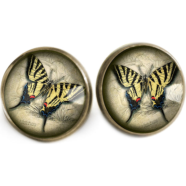 Swallowtail Butterfly Vintage Inspired Stud Earrings