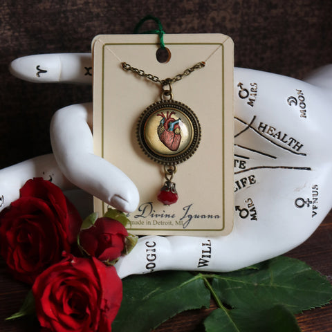 Anatomical Heart Pendant Necklace with Bead Accent