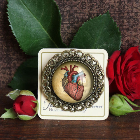 Anatomical Heart Reversed Decoupage Glass and Brass Brooch