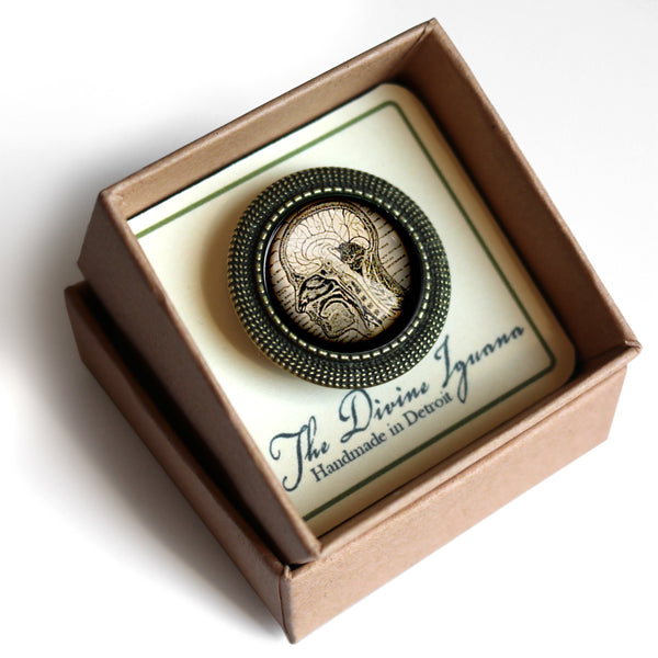 Human Brain and Nervous System Vintage Inspired Pin Brooch