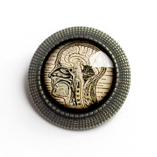 Human Brain and Nervous System Vintage Inspired Pin Brooch