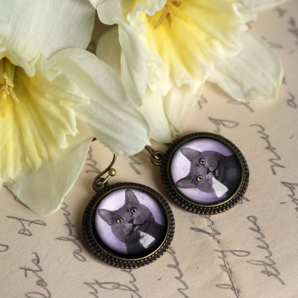 Russian Blue Glass Cabochon Grey Cat Earrings