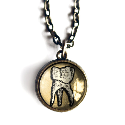 Tooth Reversible Pendant Necklace with Bead Accent