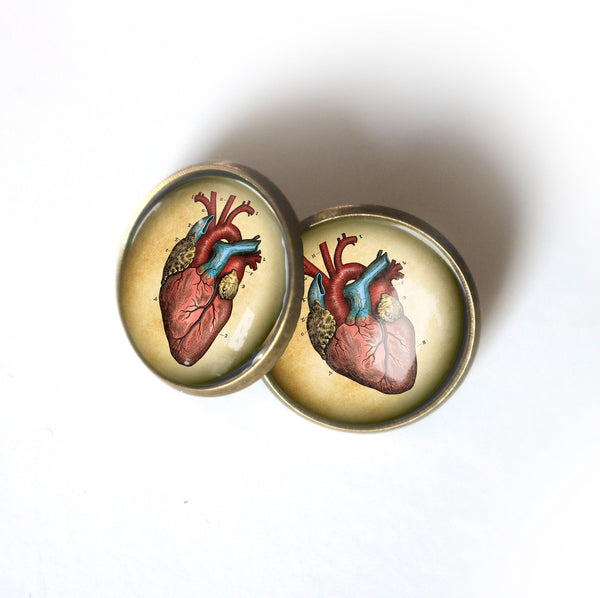 Anatomical Heart Vintage Inspired Stud Earrings