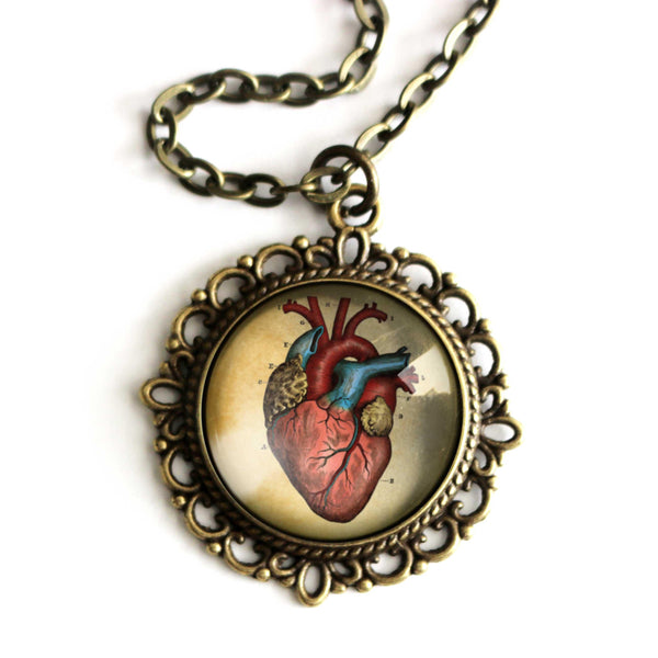 Anatomical Human Heart Large Pendant Necklace in Ornate Frame