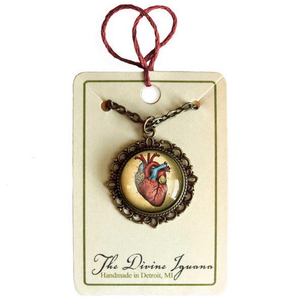 Anatomical Human Heart Large Pendant Necklace in Ornate Frame