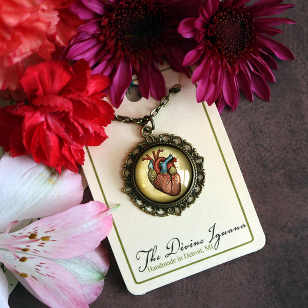 Anatomical Human Heart Large Pendant Necklace in Ornate Frame