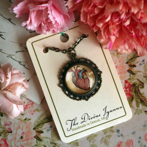 Anatomical Human Heart Large Pendant Necklace in Ornate Frame