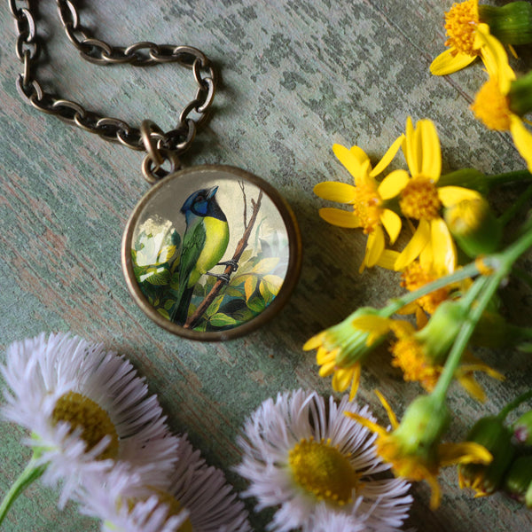 Green Jay Bird Reversible Glass Cabochon Pendant Necklace