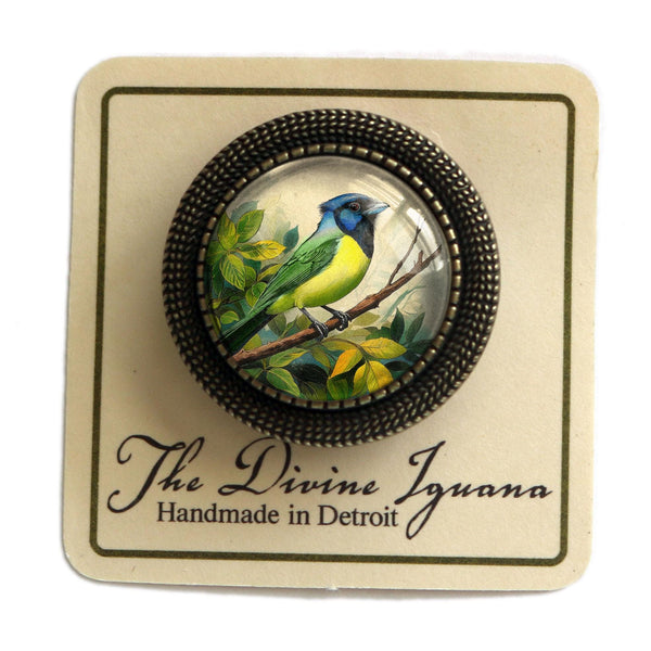 Green Jay Bird Vintage Inspired Glass Cabochon Brooch