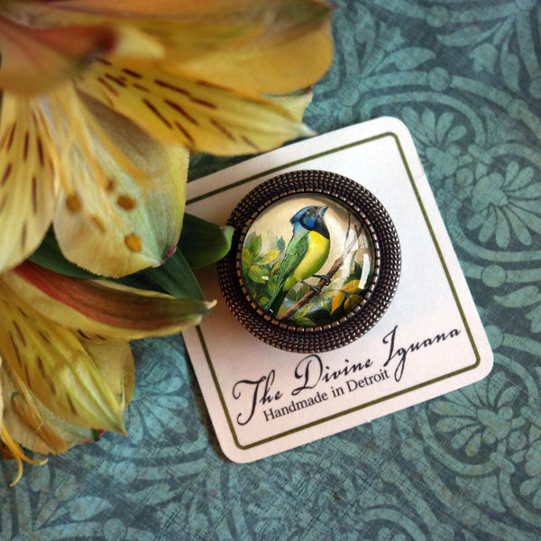Green Jay Bird Vintage Inspired Glass Cabochon Brooch