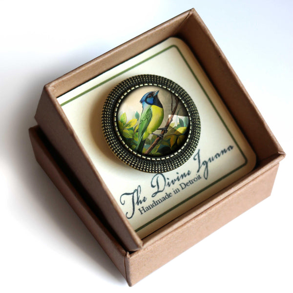 Green Jay Bird Vintage Inspired Glass Cabochon Brooch