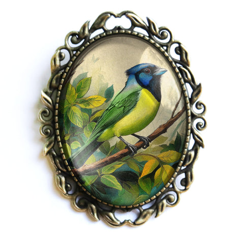 Green Jay Large Oval  Glass Cabochon Bird Brooch