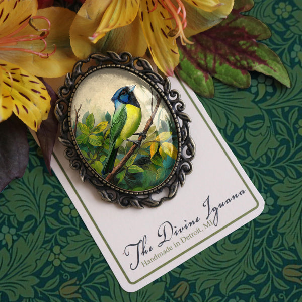 Green Jay Large Oval  Glass Cabochon Bird Brooch