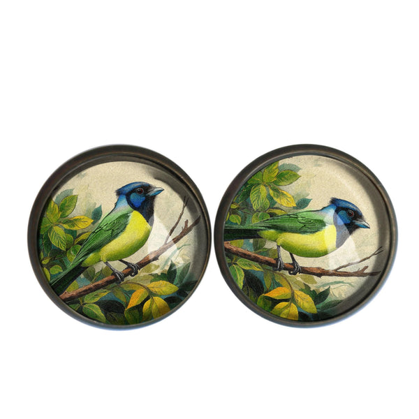 Green Jay Vintage Inspired Glass Cabochon Bird Stud Earrings