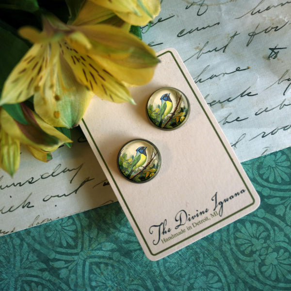 Green Jay Vintage Inspired Glass Cabochon Bird Stud Earrings
