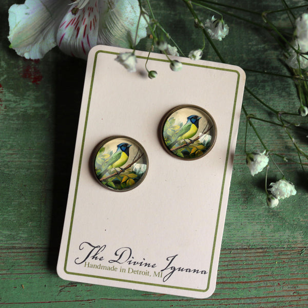 Green Jay Vintage Inspired Glass Cabochon Bird Stud Earrings