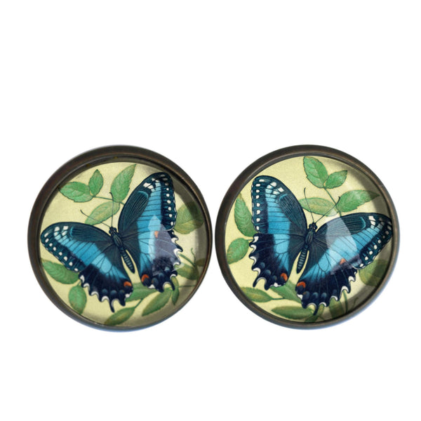 Blue Swallowtail Butterfly Vintage Inspired Stud Earrings