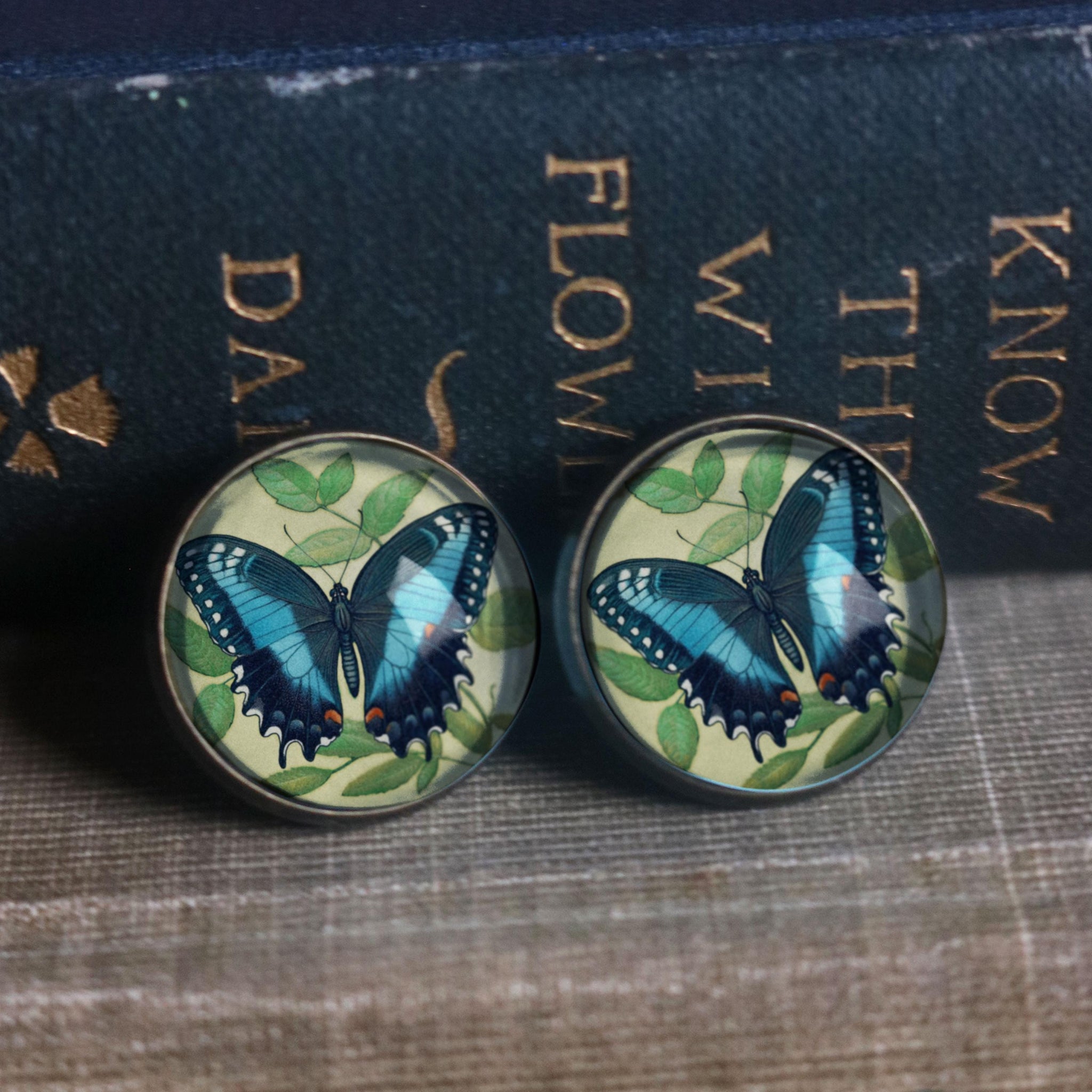 Blue Swallowtail Butterfly Vintage Inspired Stud Earrings