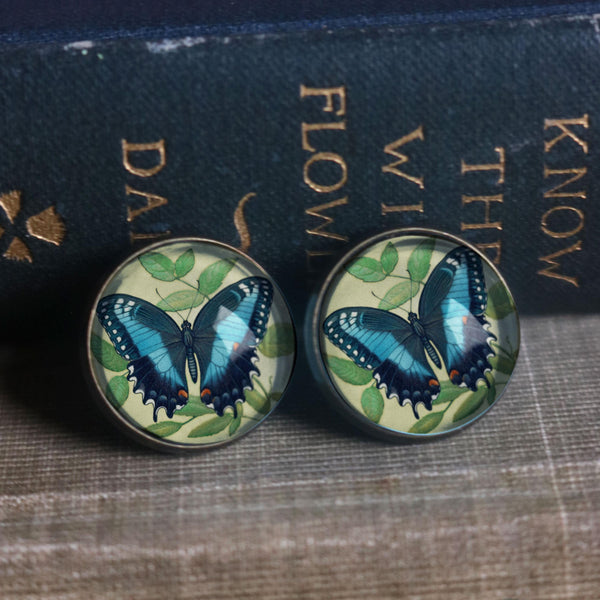 Blue Swallowtail Butterfly Vintage Inspired Stud Earrings