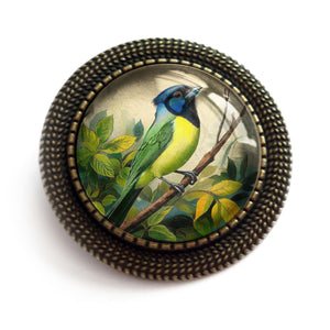 Green Jay Bird Vintage Inspired Glass Cabochon Brooch