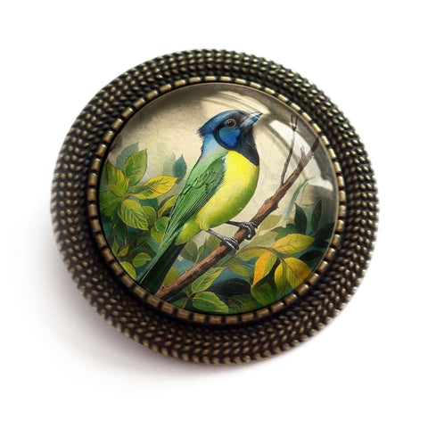 Green Jay Bird Vintage Inspired Glass Cabochon Brooch