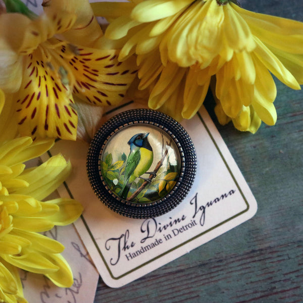 Green Jay Bird Vintage Inspired Glass Cabochon Brooch