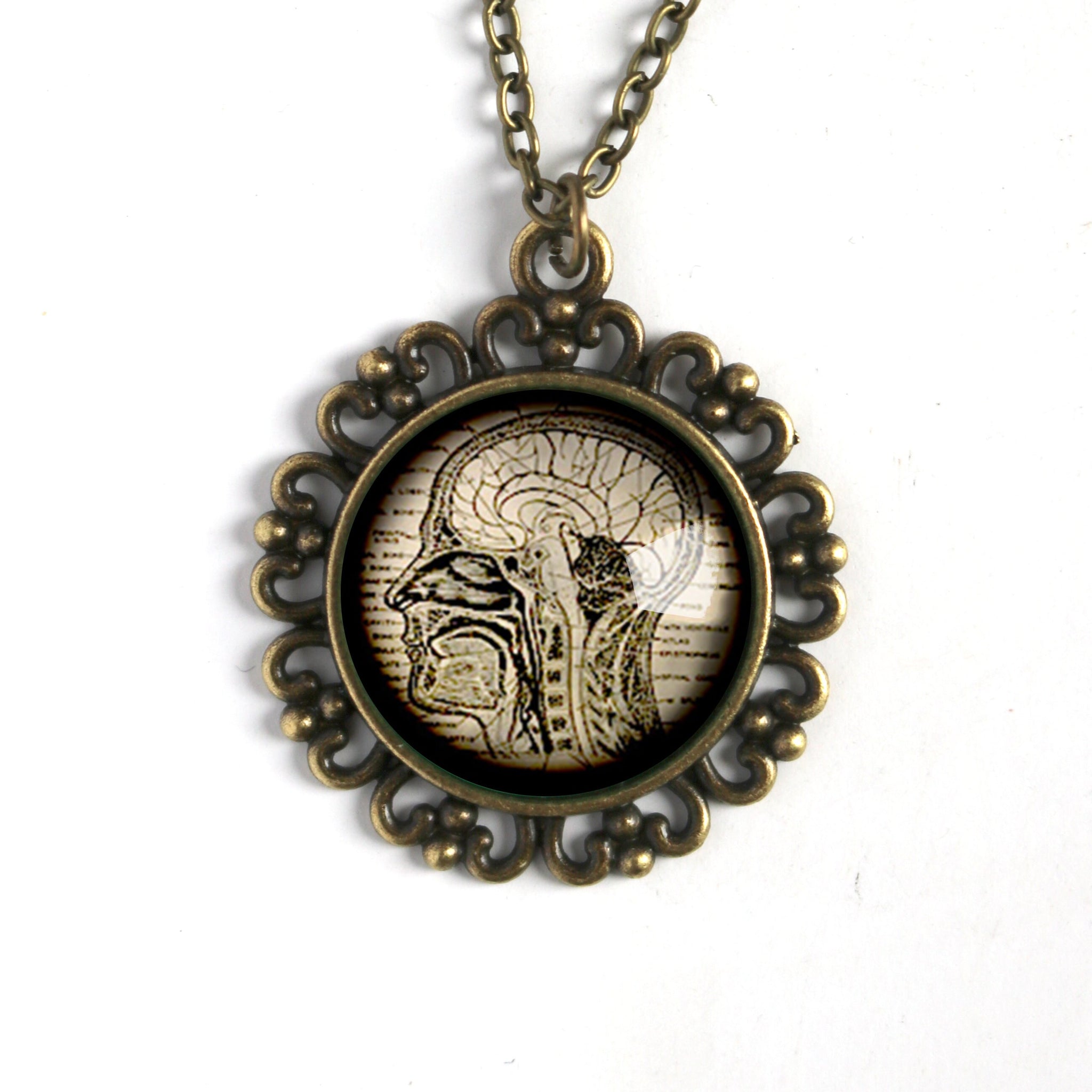 Human Nervous System Large Pendant Necklace in Ornate Frame