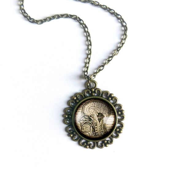 Human Nervous System Large Pendant Necklace in Ornate Frame