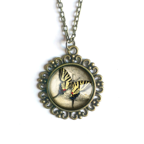 Swallowtail Butterfly Large Pendant Necklace in Ornate Frame