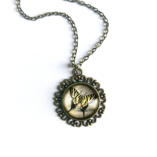 Swallowtail Butterfly Large Pendant Necklace in Ornate Frame