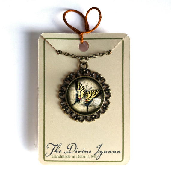 Swallowtail Butterfly Large Pendant Necklace in Ornate Frame