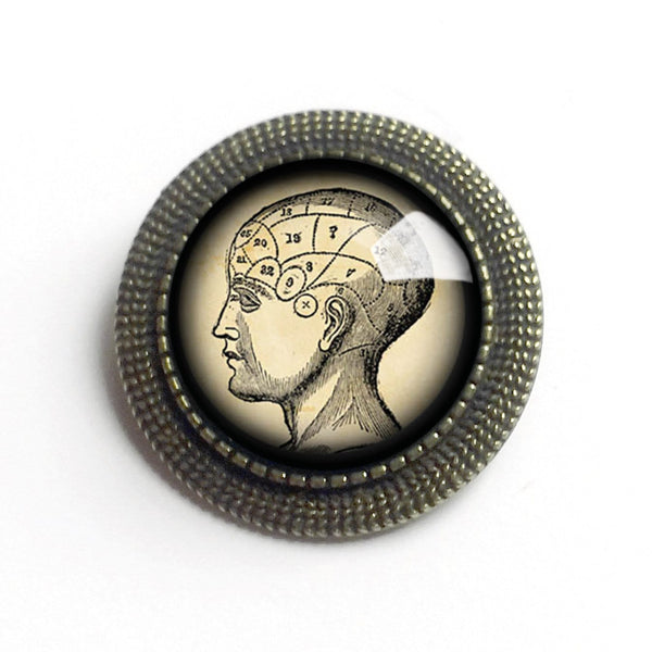 Antique Phrenology Chart Vintage Inspired Pin Brooch