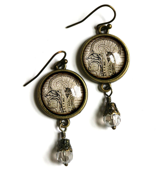 Human Nervous System Vintage Inspired Drop / Dangle Earrings