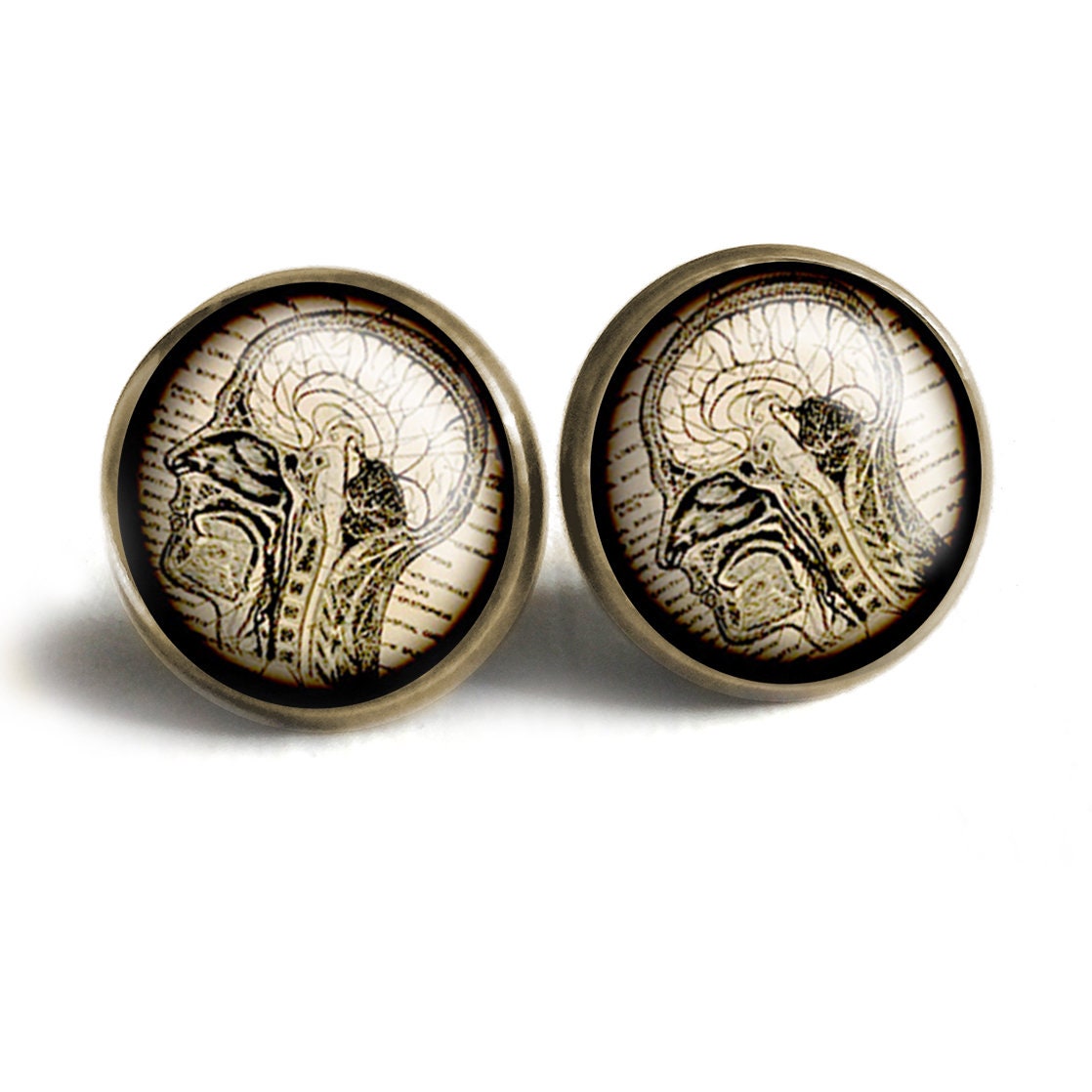 Human Nervous System Vintage Inspired Stud Earrings