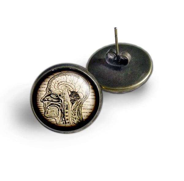 Human Nervous System Vintage Inspired Stud Earrings