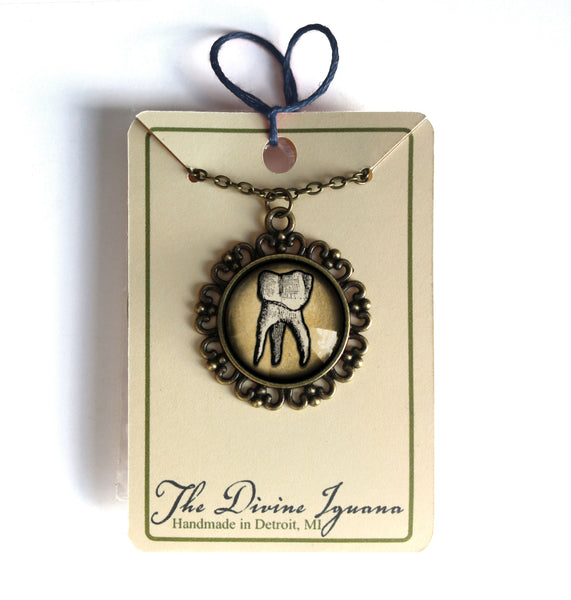 Human Tooth Large Pendant Necklace in Ornate Frame