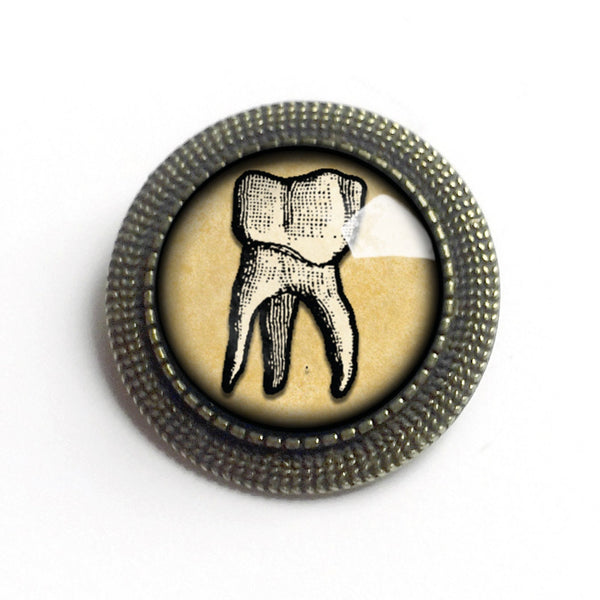 Human Tooth Vintage Inspired Pin Brooch