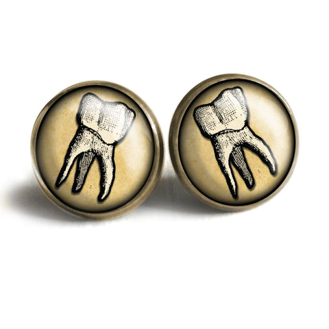 Human Tooth Vintage Inspired Stud Earrings