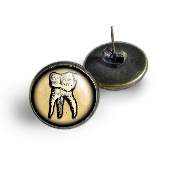 Human Tooth Vintage Inspired Stud Earrings