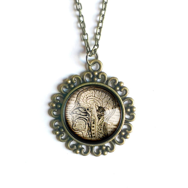 Human Nervous System Large Pendant Necklace in Ornate Frame