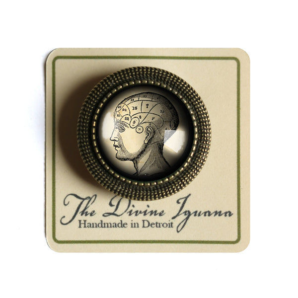 Antique Phrenology Chart Vintage Inspired Pin Brooch