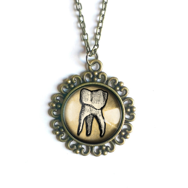 Human Tooth Large Pendant Necklace in Ornate Frame