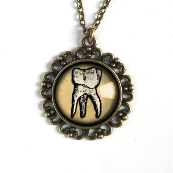 Human Tooth Large Pendant Necklace in Ornate Frame