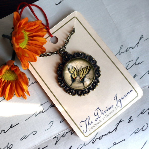 Swallowtail Butterfly Large Pendant Necklace in Ornate Frame