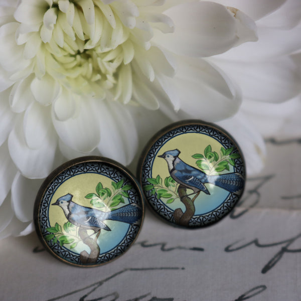 Blue Jay Vintage Inspired Stud Earrings