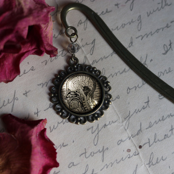 Human Brain and Nervous System Glass Cabochon Brass Book Hook / Bookmark