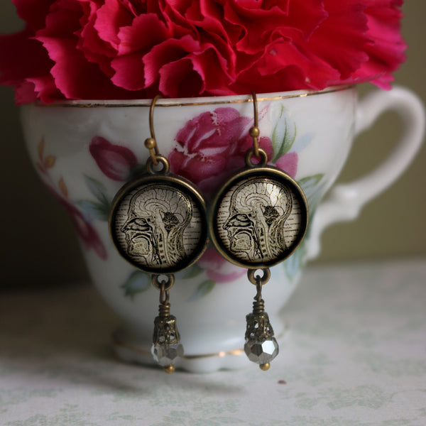 Human Nervous System Vintage Inspired Drop / Dangle Earrings